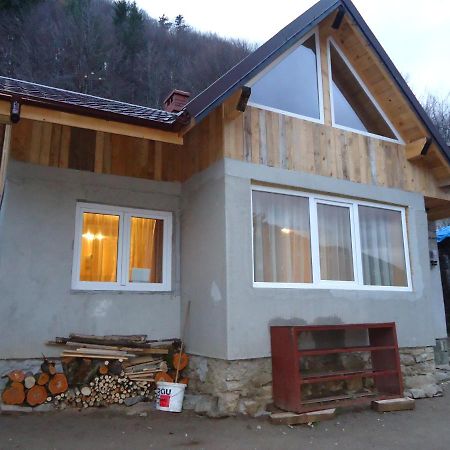Casa Serban Villa Sinaia Exterior photo